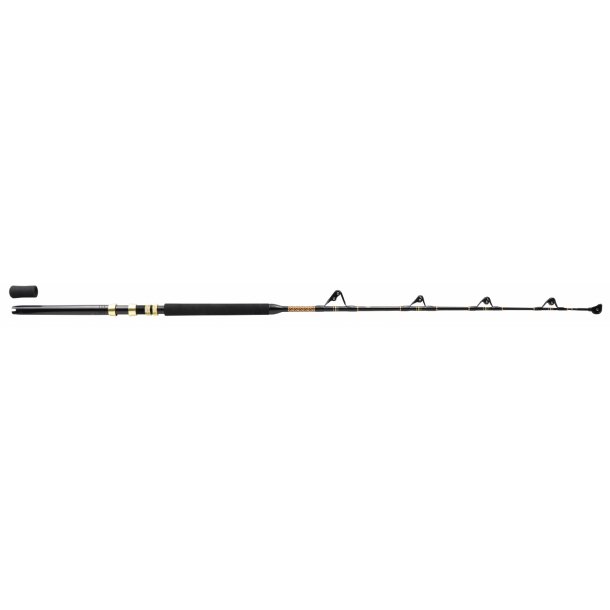 Penn International V 6' Fod 50-100lb