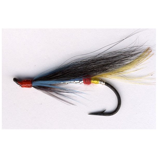 Night Hawk