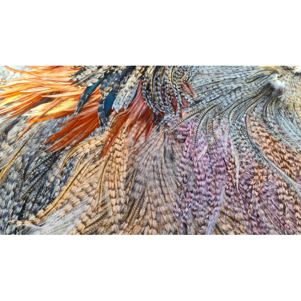 Futurfly Coq de Leon Rooster saddle