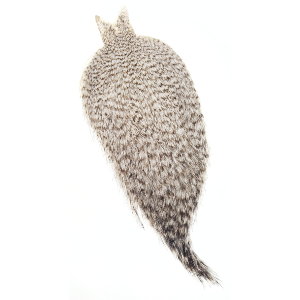Futuefly Coq De Leon Rooster Cape Grizzly Pardo	