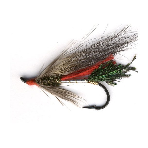 Silver and Red Rat