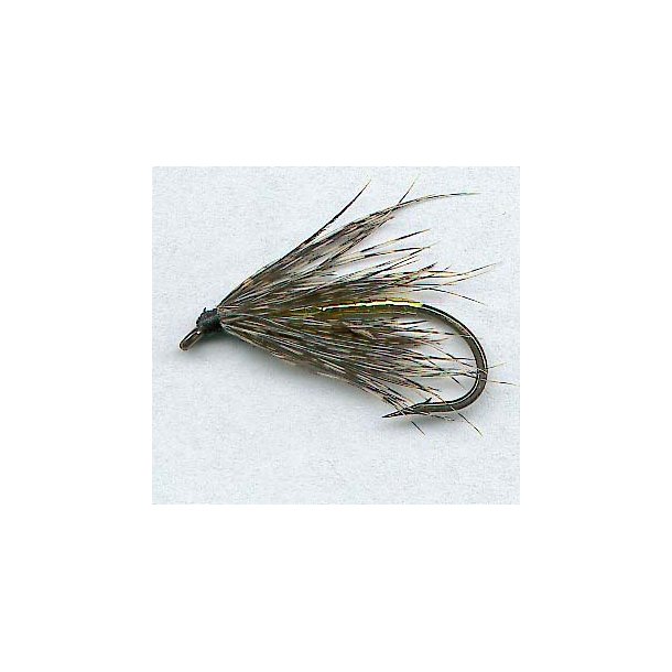 Copper King  Copper King size 10