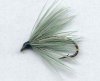 Dark Olive Spider size 8