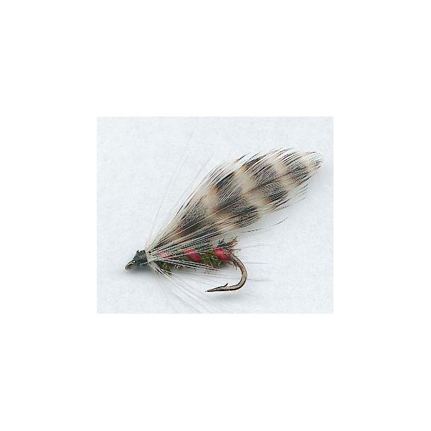 Francis Fly
