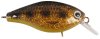 Spotted Bullhead