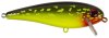 Hot Pike