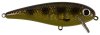 Spotted Bullhead