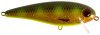 Hot Spotted Bullhead