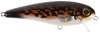 Burbot