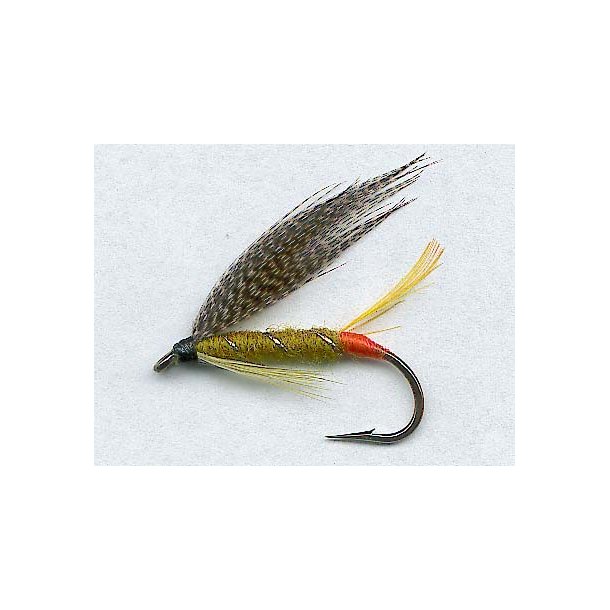 Golden Olive
