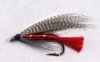Laramie size 6