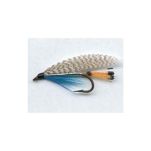 Lawson Sp. Blue