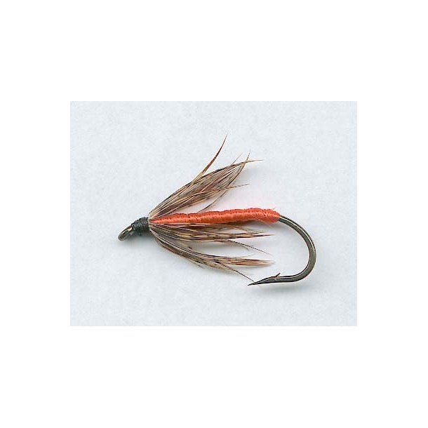 Partridge Orange
