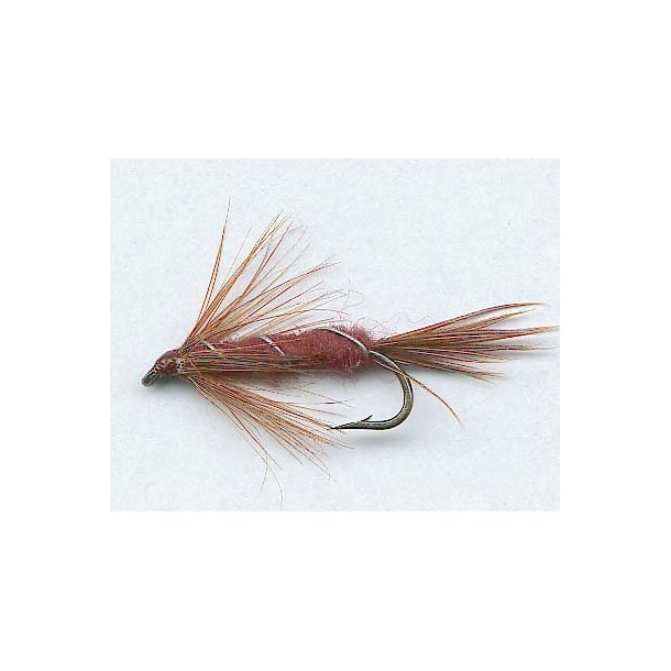 Pheasant Tail
