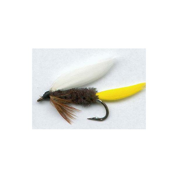 Rio Grande King