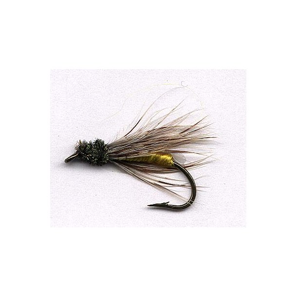 Willow Fly