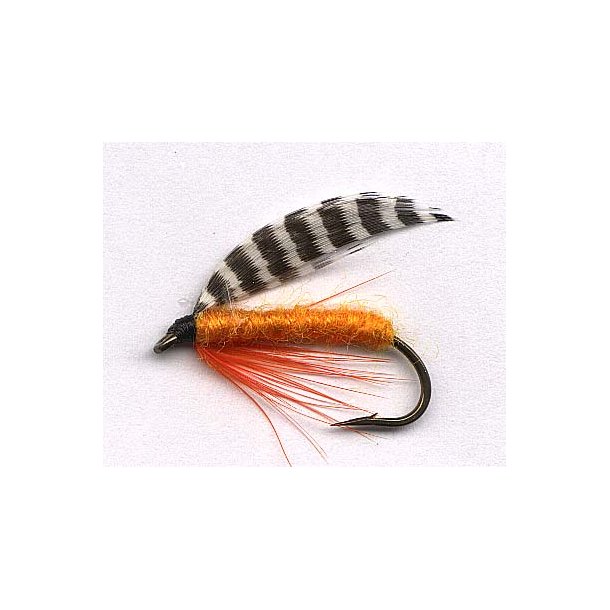 Wilsons Orange