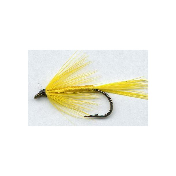 Yellow May Dun