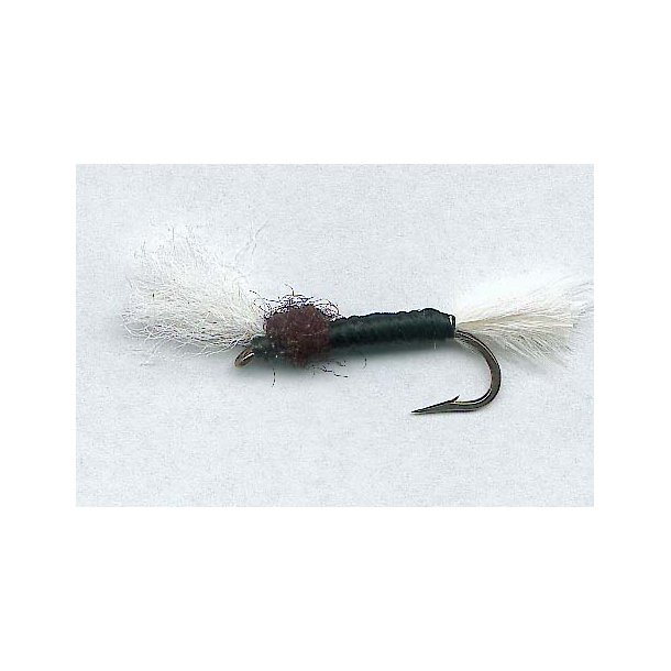Midge Pupa