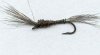 Mosqutio nymph size 8