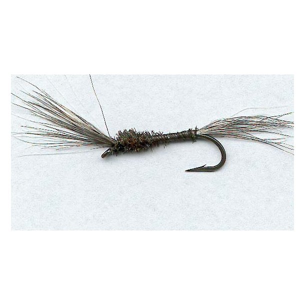 Mosqutio