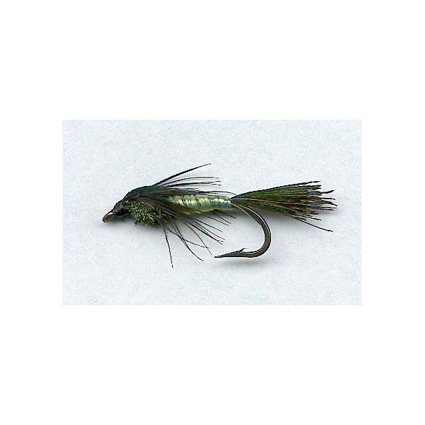 Sandra Nymph