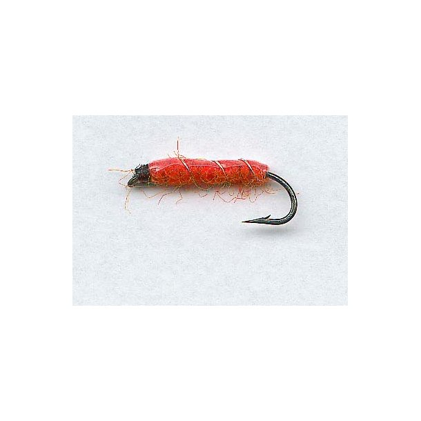 Shrimp Orange