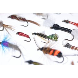 40 Assoterede Nympher