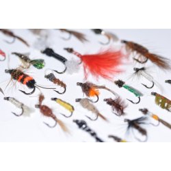 40 Assoterede Nympher