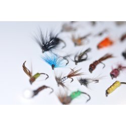 40 Assoterede Nympher