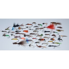 20 stk. Assorterede Nympher