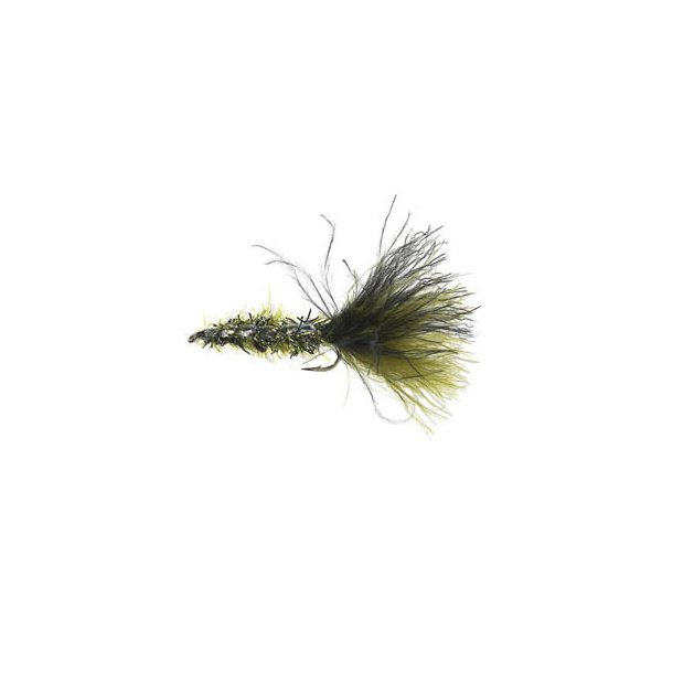Brsteormen Peacock
