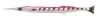 Pink Barracuda