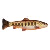 Brown Trout Smolt
