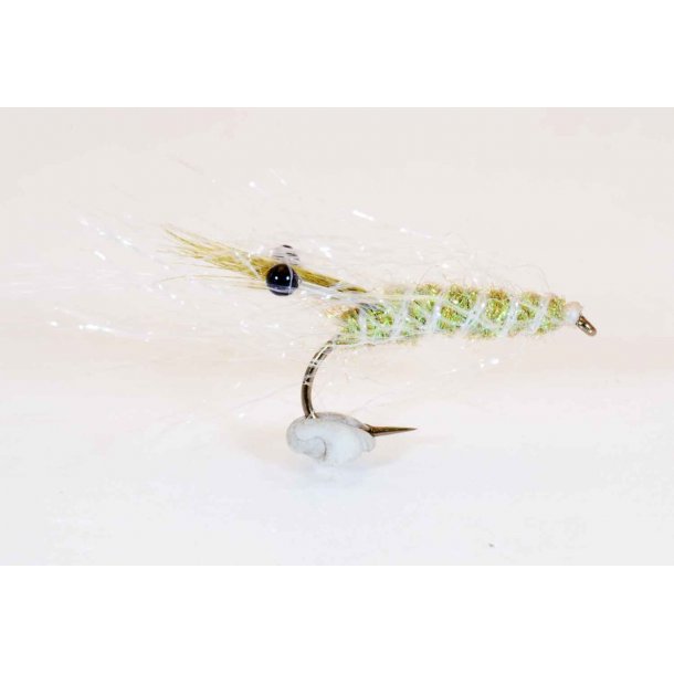 Panic Shrimp Olive Kystflue