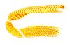 Yellow/Orange