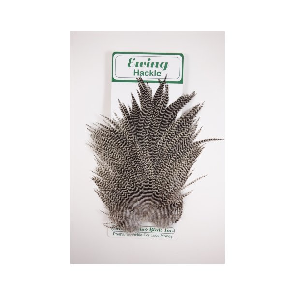 Ewing Hane Saddel flere farver Grizzly