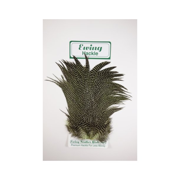 Ewing Hane Saddel flere farver Green Grizzly