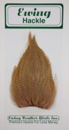 Medium Brown