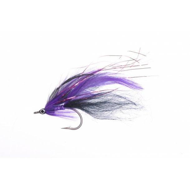 Purple Dream