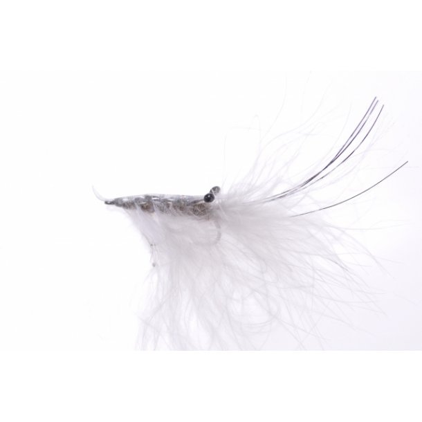 Oland Speyshrimp # 6