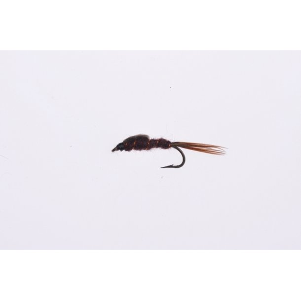 Fuzzy Ligare Nymph