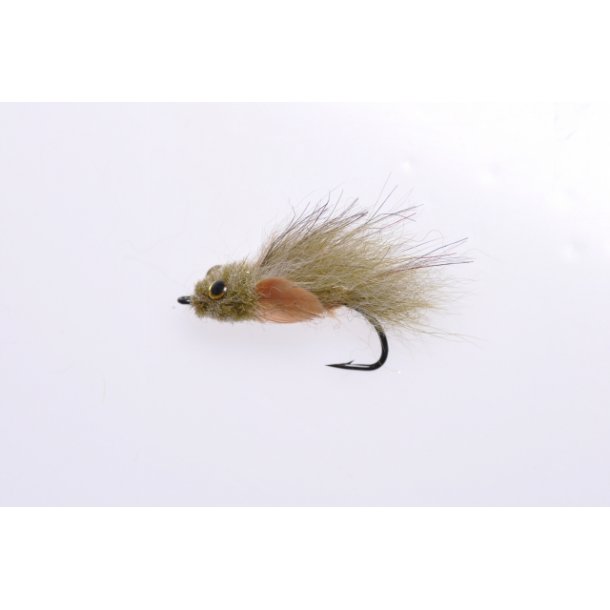 Fox Goby # 6