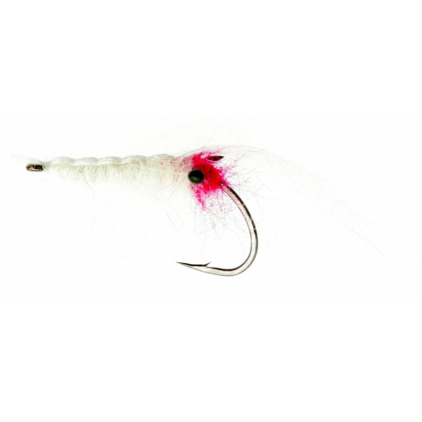 Ghostshrimp White