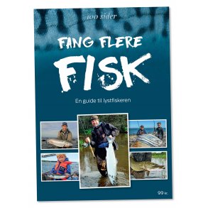 Fang Flere Fisk - En Guide Til Lystfiskeren