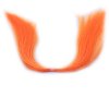 Hot Orange
