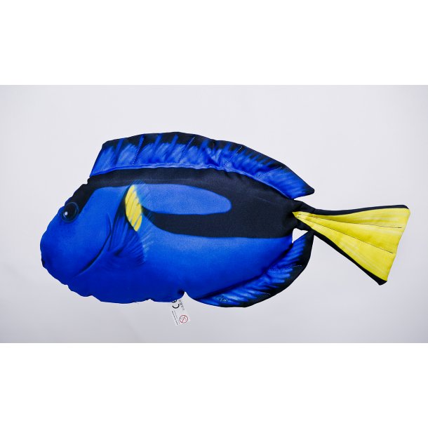 Gaby Kirurgfisk Tjdyr 56cm
