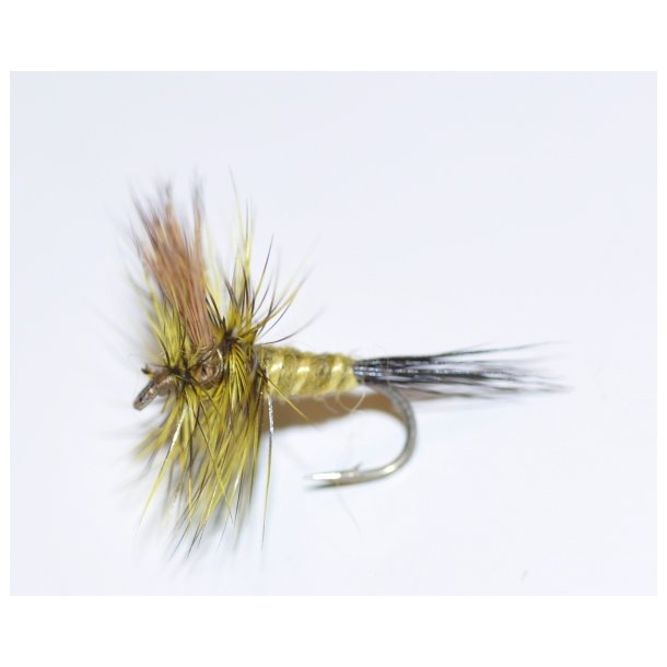 Green Drake Dryfly