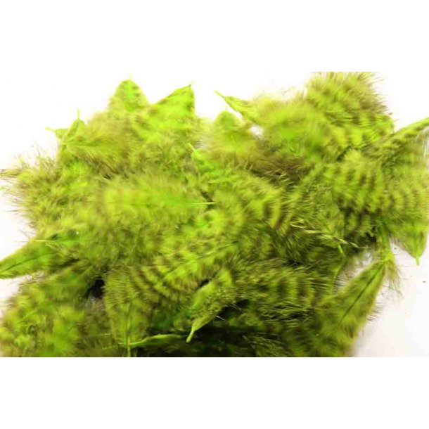 Hareline Grizzly Marabou Chartreuse