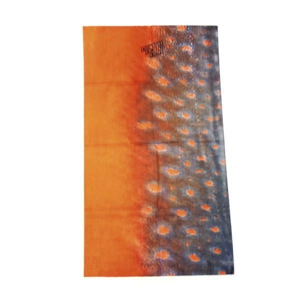 Halsedisse Brook Trout Scales